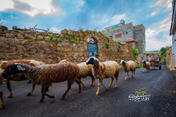  | موسوعة القرى الفلسطينية