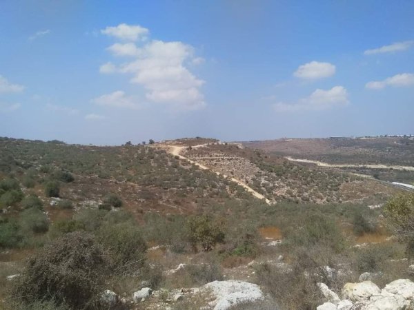  | موسوعة القرى الفلسطينية