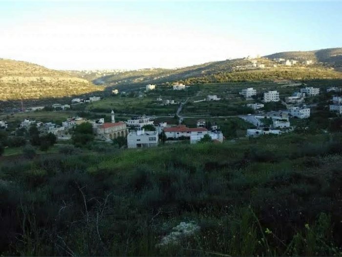 عين سِينْيَا  | موسوعة القرى الفلسطينية