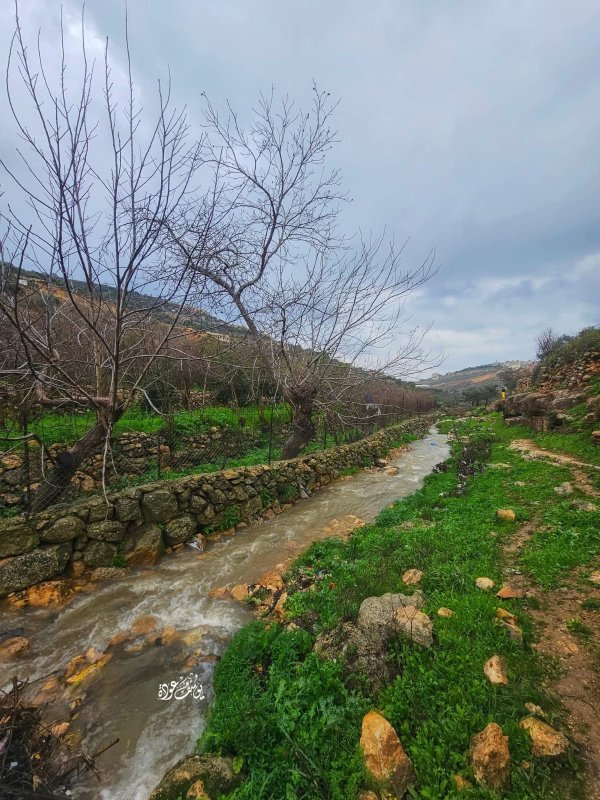  | موسوعة القرى الفلسطينية