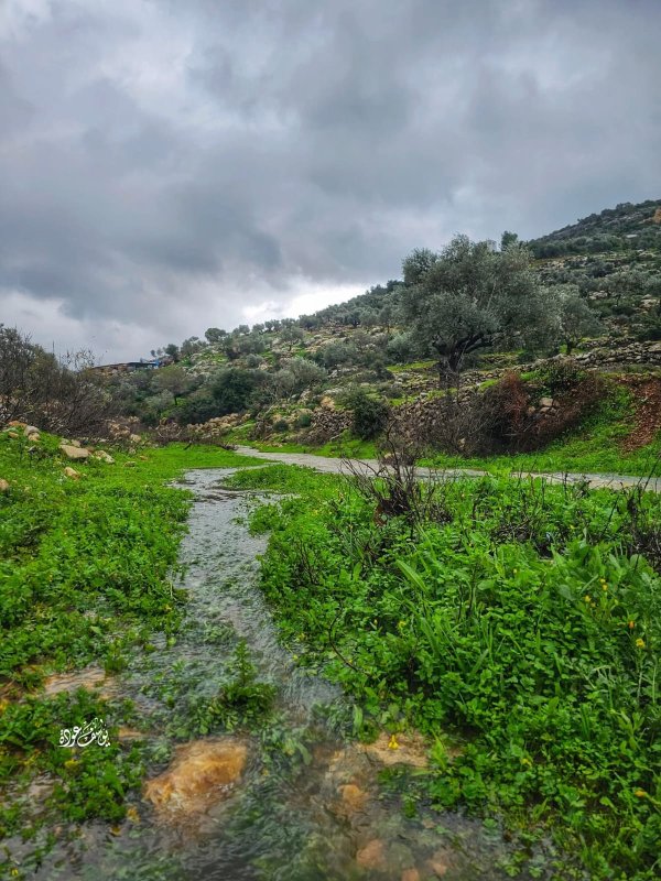  | موسوعة القرى الفلسطينية