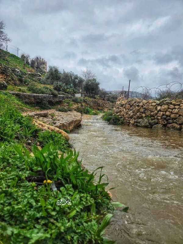  | موسوعة القرى الفلسطينية