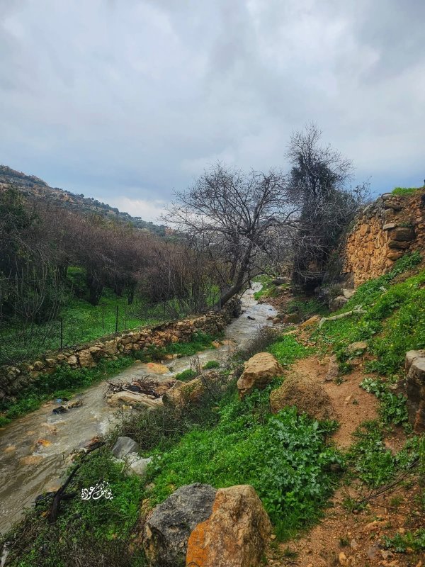  | موسوعة القرى الفلسطينية