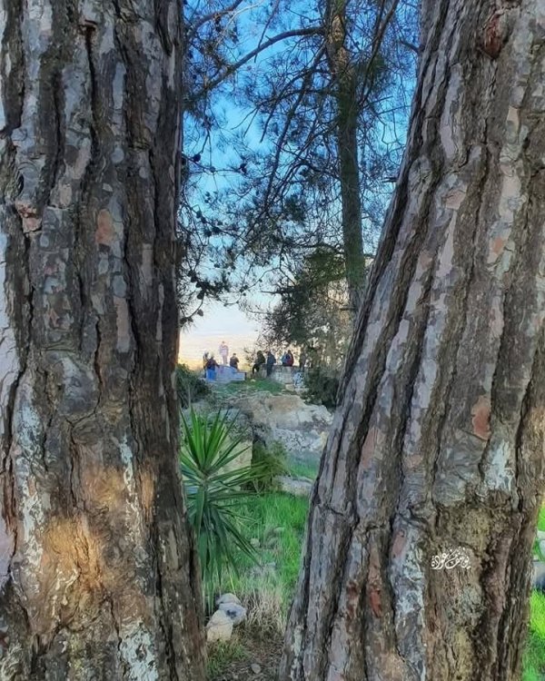  | موسوعة القرى الفلسطينية