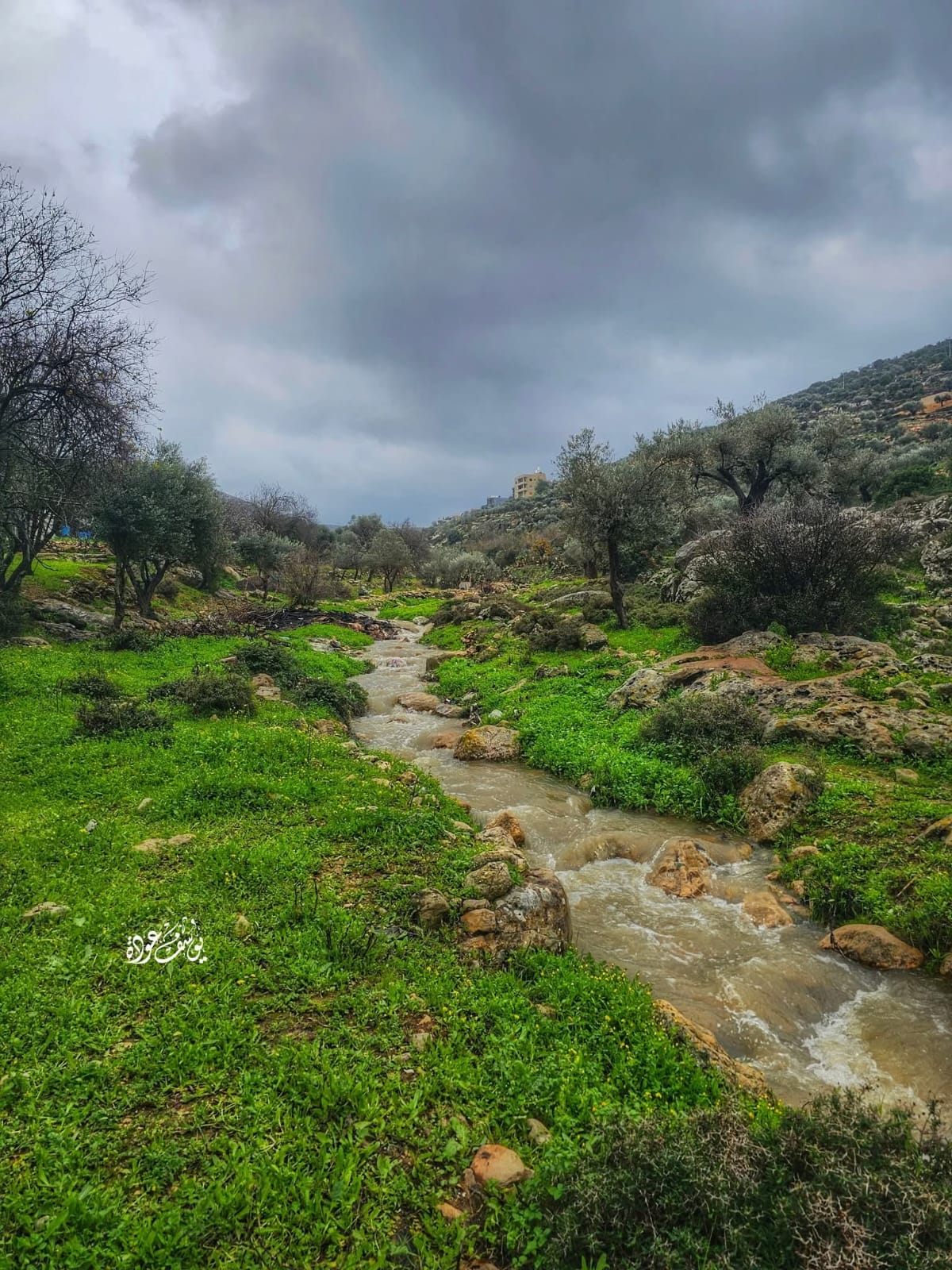  | موسوعة القرى الفلسطينية