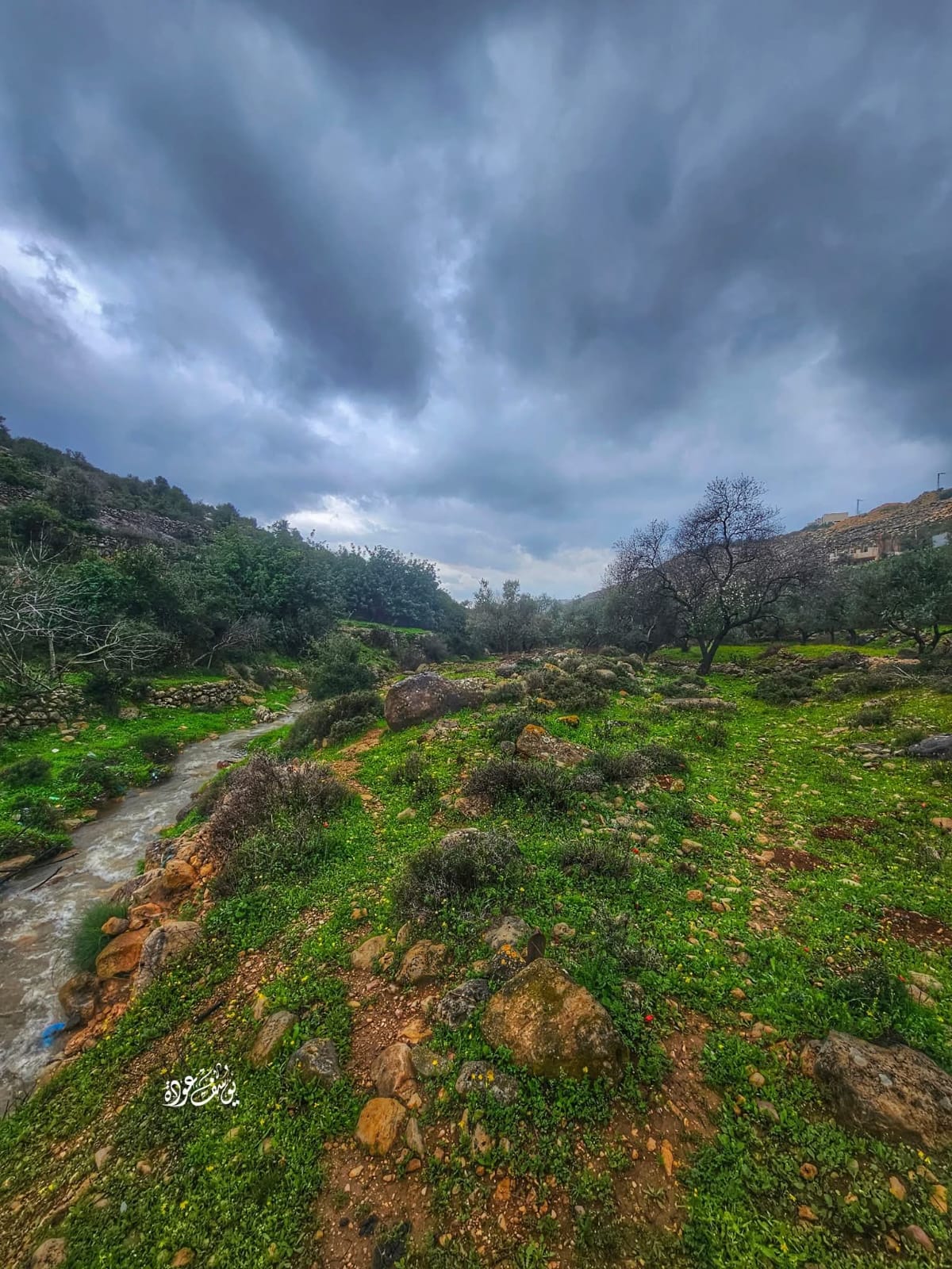  | موسوعة القرى الفلسطينية