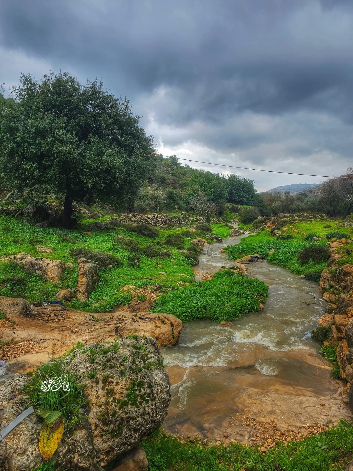  | موسوعة القرى الفلسطينية