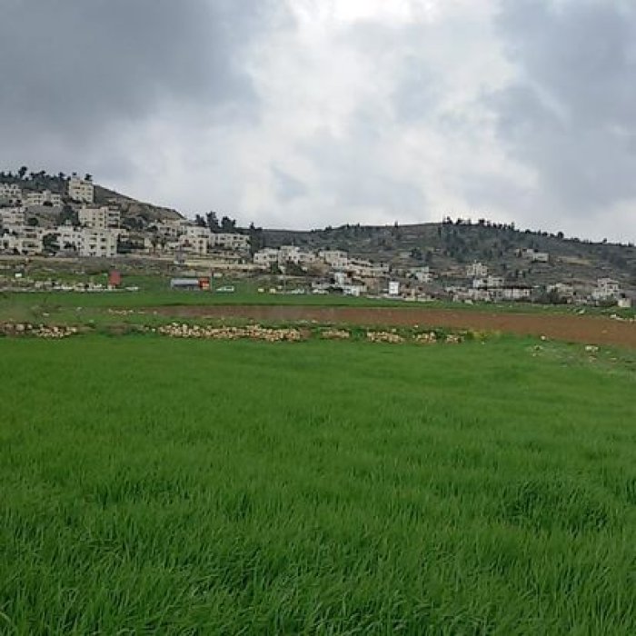 الهجرة  | موسوعة القرى الفلسطينية