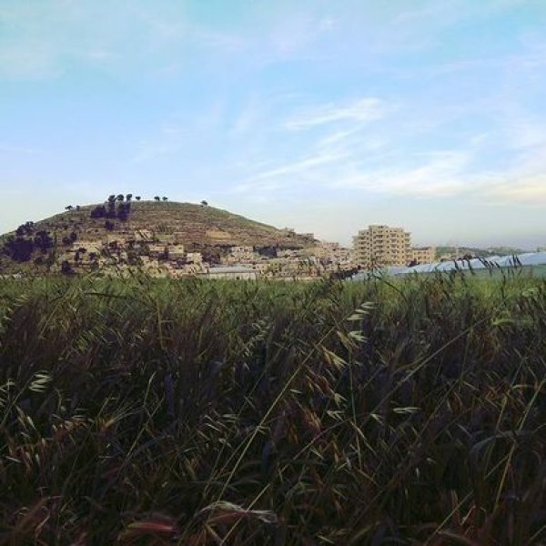  | موسوعة القرى الفلسطينية