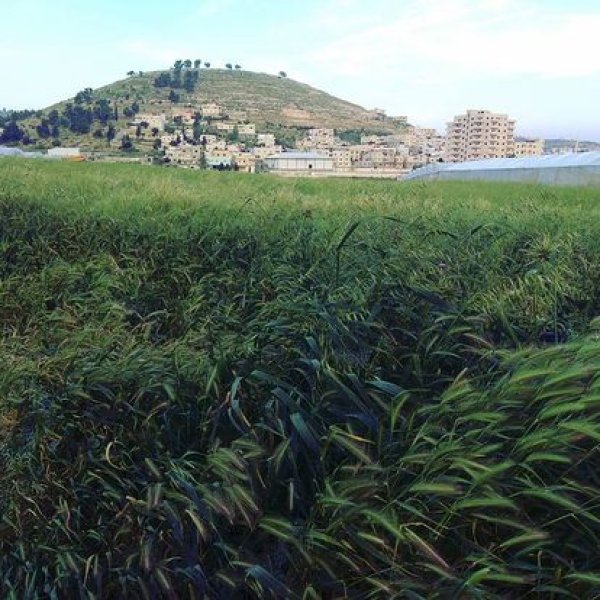  | موسوعة القرى الفلسطينية