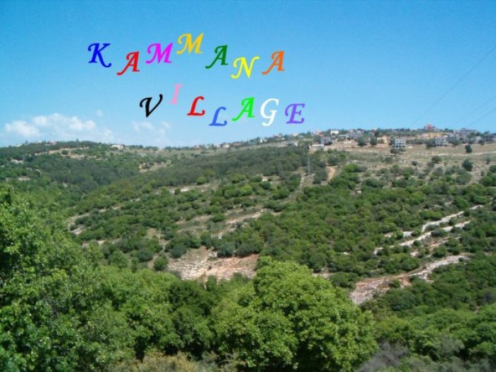 عرب السواعد  | موسوعة القرى الفلسطينية