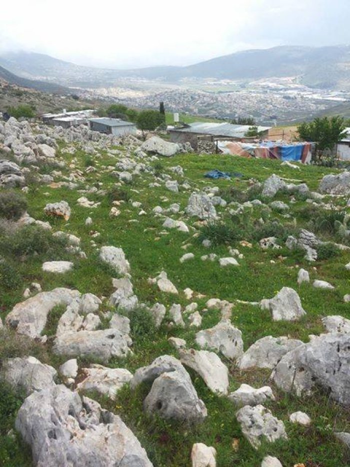 القبسي  | موسوعة القرى الفلسطينية