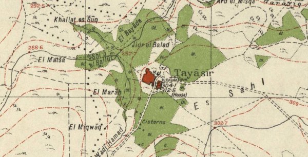 قرية تياسير / نابلس