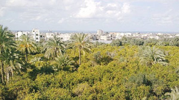  | موسوعة القرى الفلسطينية