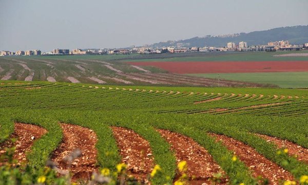  | موسوعة القرى الفلسطينية