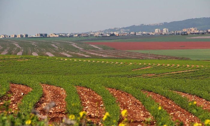 العَفُّولَة  | موسوعة القرى الفلسطينية