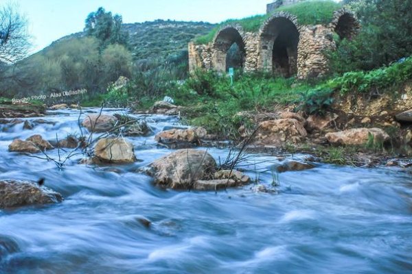  | موسوعة القرى الفلسطينية