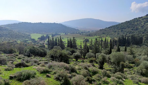  | موسوعة القرى الفلسطينية