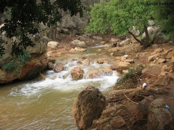  | موسوعة القرى الفلسطينية