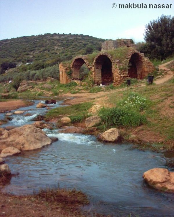  | موسوعة القرى الفلسطينية