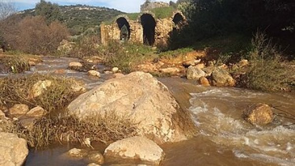  | موسوعة القرى الفلسطينية