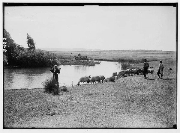  | موسوعة القرى الفلسطينية
