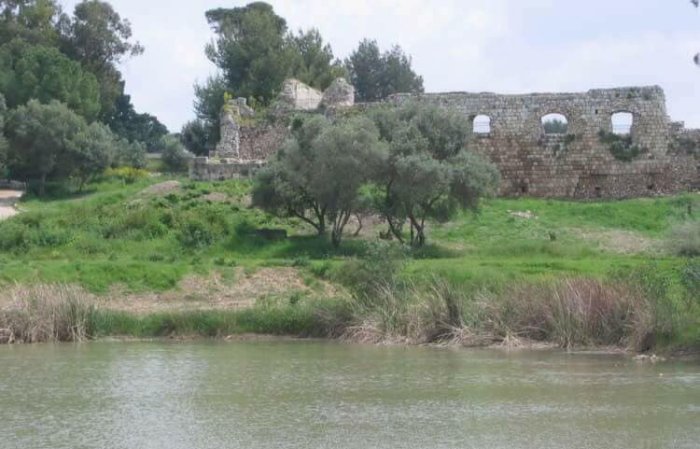 راس العين  | موسوعة القرى الفلسطينية