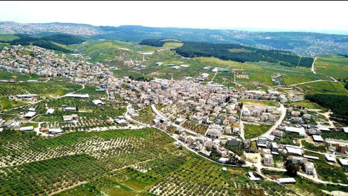 مُعَاوِيّة/ ألحقت بقرى حيفا عام 1949/ قرى الروحة  | موسوعة القرى الفلسطينية