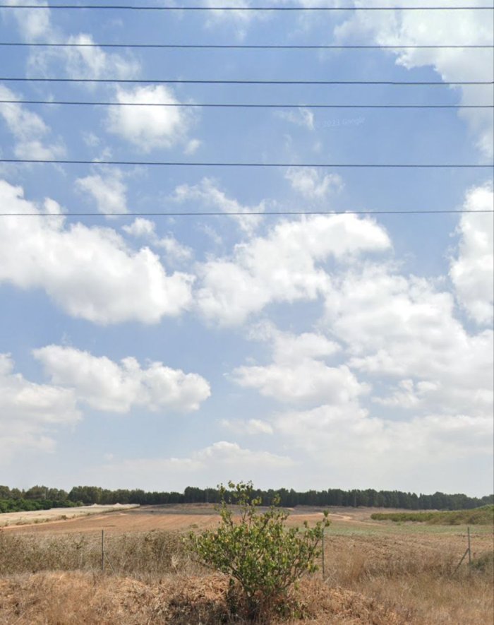 صَفَصَافا/ قرى الروحة  | موسوعة القرى الفلسطينية