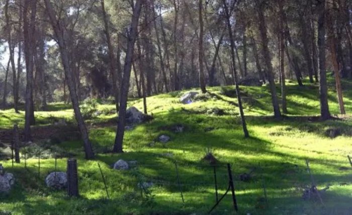 نُورِسْ  | موسوعة القرى الفلسطينية