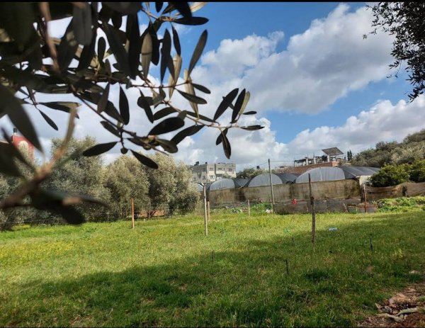  | موسوعة القرى الفلسطينية