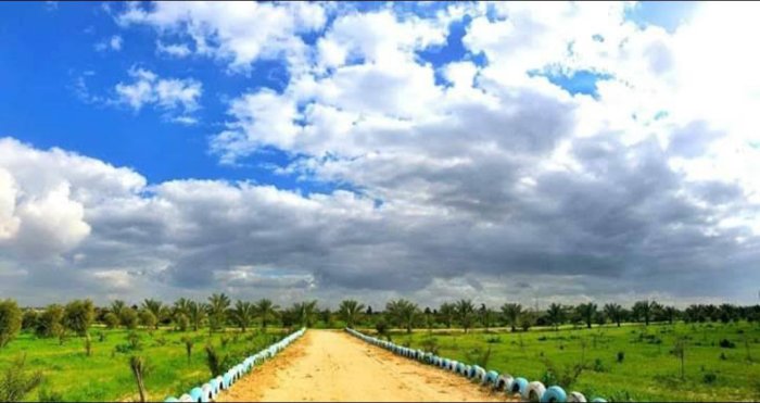 بَيّتْ لاهِيْا- محافظة الشمال  | موسوعة القرى الفلسطينية