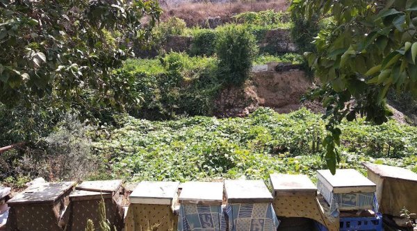  | موسوعة القرى الفلسطينية