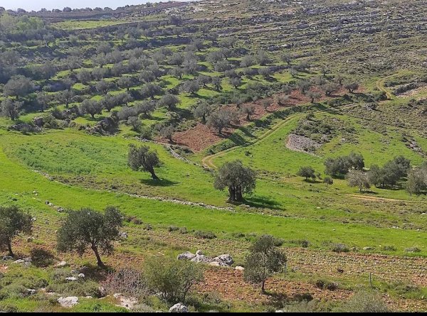  | موسوعة القرى الفلسطينية