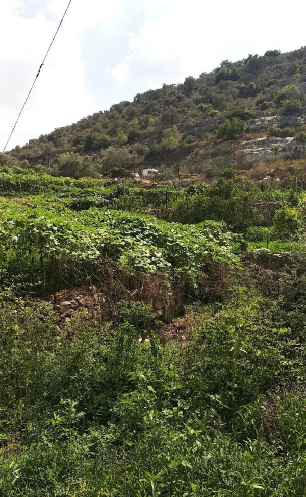  | موسوعة القرى الفلسطينية