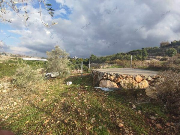  | موسوعة القرى الفلسطينية