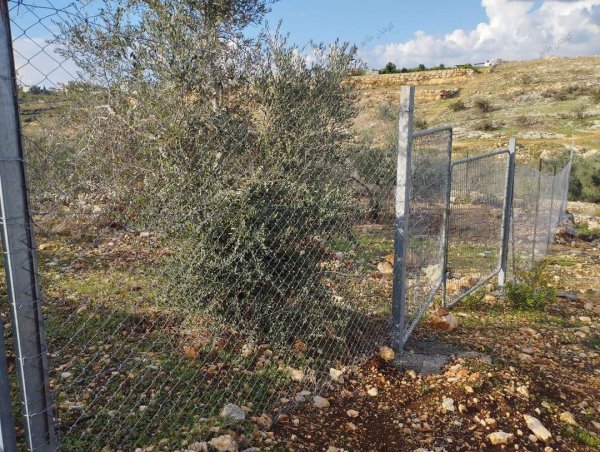  | موسوعة القرى الفلسطينية