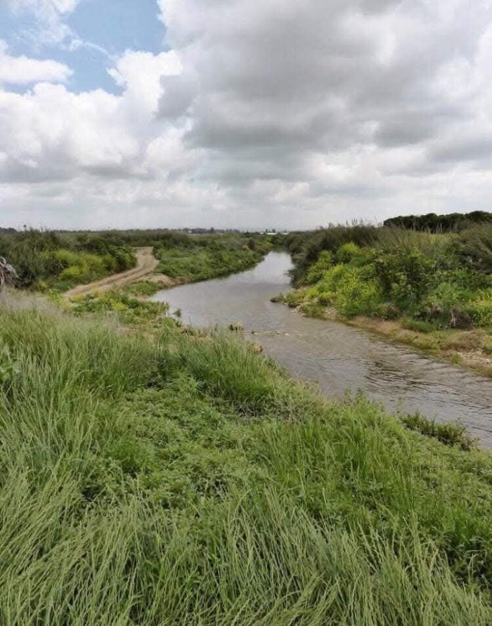 شَحْمَة  | موسوعة القرى الفلسطينية