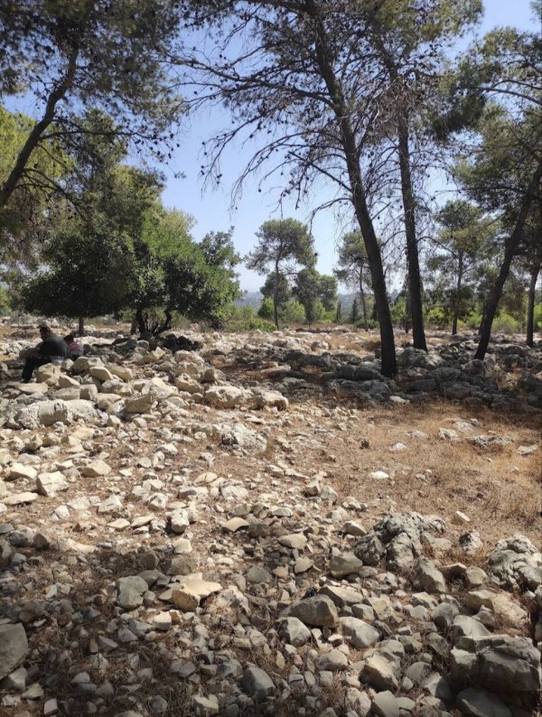  | موسوعة القرى الفلسطينية