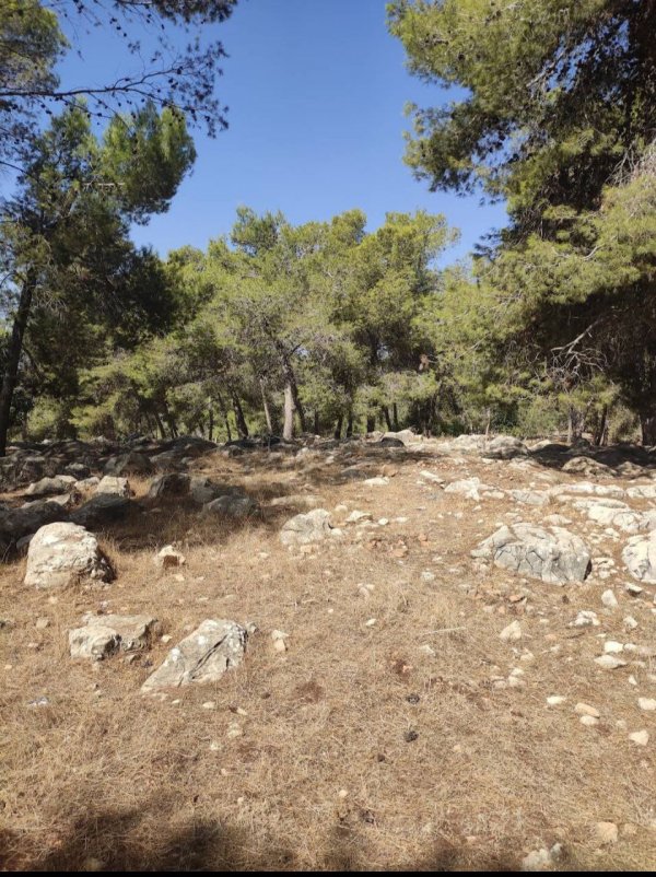  | موسوعة القرى الفلسطينية