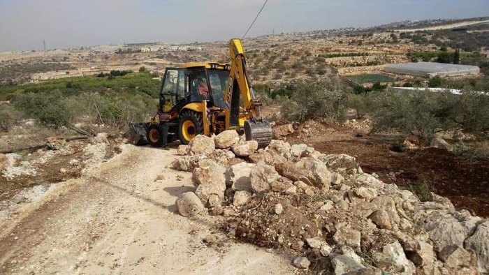 وادي الرَشَا- من قرى طولكرم سابقاً  | موسوعة القرى الفلسطينية