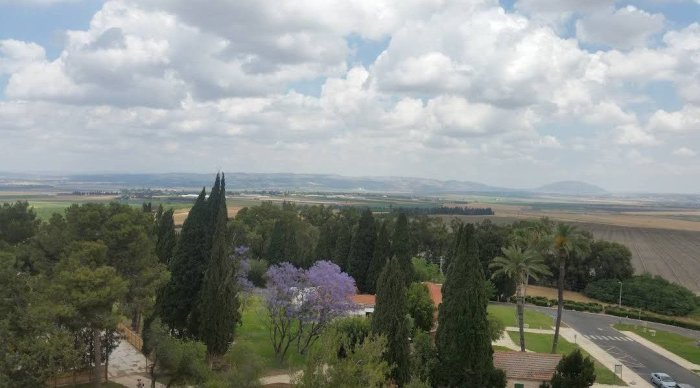 مَجِدُّو/ تل المُتَسَلِّم / قرى الروحة  | موسوعة القرى الفلسطينية