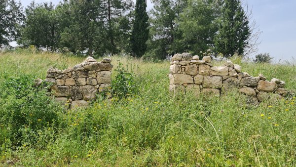  | موسوعة القرى الفلسطينية