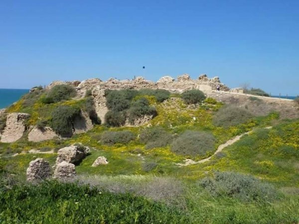  | موسوعة القرى الفلسطينية