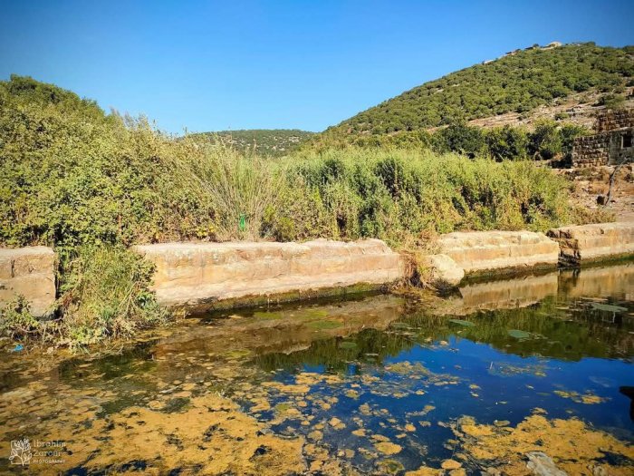 وادي قَانَا/ خربة قَانَا- من قرى نابلس سابقاً  | موسوعة القرى الفلسطينية