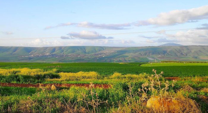 بُورِيّه  | موسوعة القرى الفلسطينية