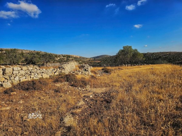  | موسوعة القرى الفلسطينية