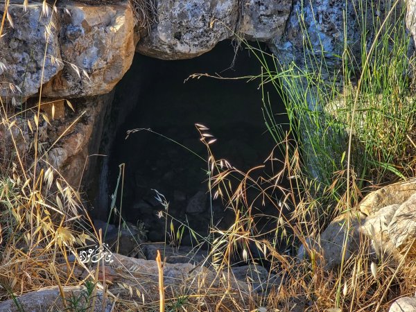  | موسوعة القرى الفلسطينية