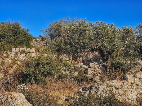  | موسوعة القرى الفلسطينية