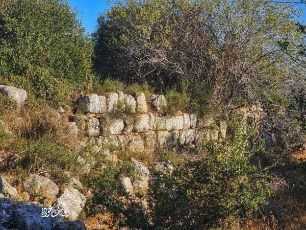  | موسوعة القرى الفلسطينية